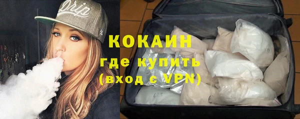 твердый Богданович