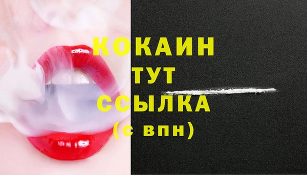 твердый Богданович