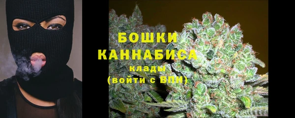 PSILOCYBIN Верея