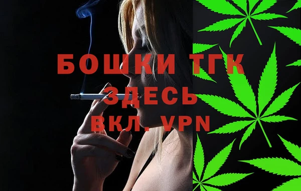 твердый Богданович